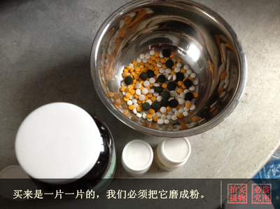 自制純天然貓糧 從家庭廚房到正規(guī)化生產(chǎn)的愛寵之選
